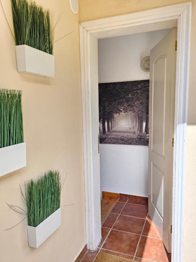 New Holiday Home Beautiful Sea View With Aircon, Costa Adeje Costa Adeje  Exteriér fotografie
