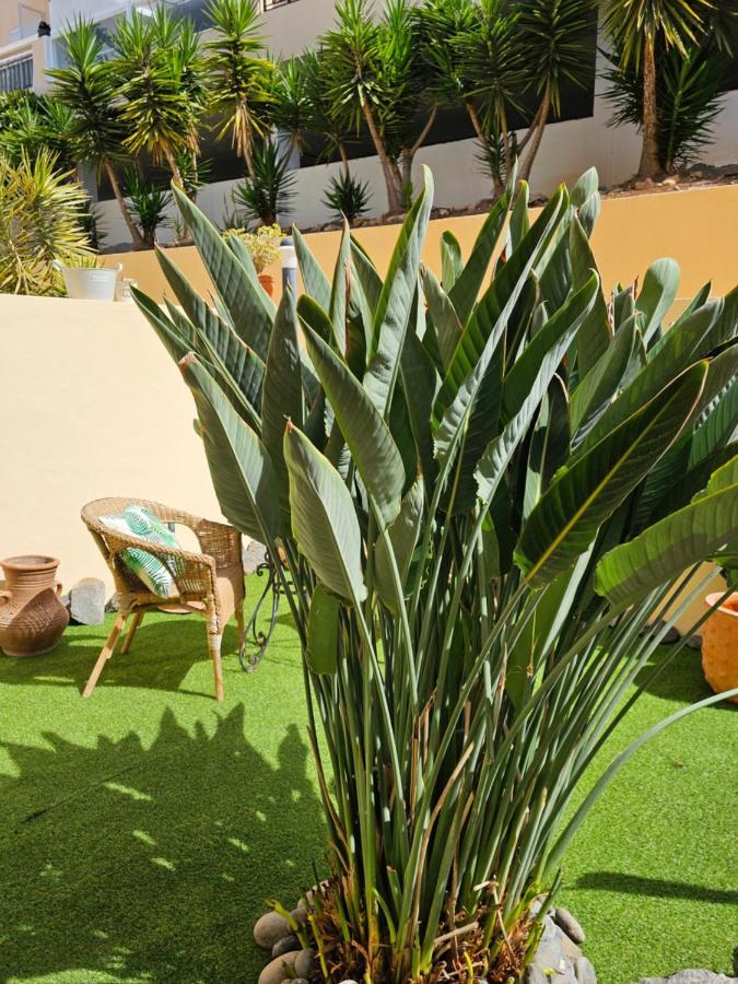 New Holiday Home Beautiful Sea View With Aircon, Costa Adeje Costa Adeje  Exteriér fotografie